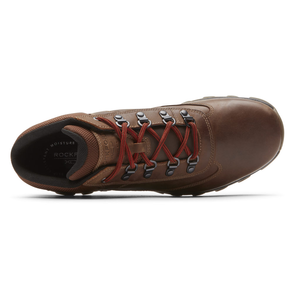 Rockport Støvler Herre Brune - Cold Springs Plus Waterproof Chukka - MEKR28135